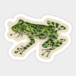 Frog Sticker